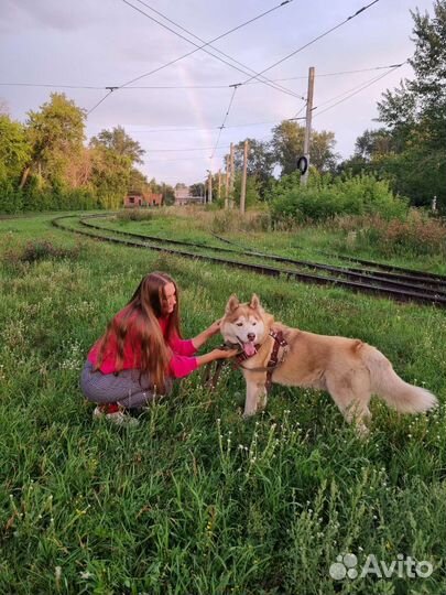 Хаски кабель вязка