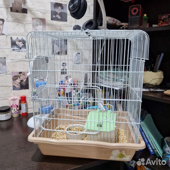 Клетка с домиком, миской, поильником