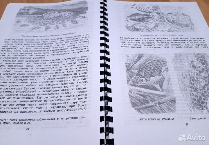 О ловкости и ее развитии. Бернштейн Н.А