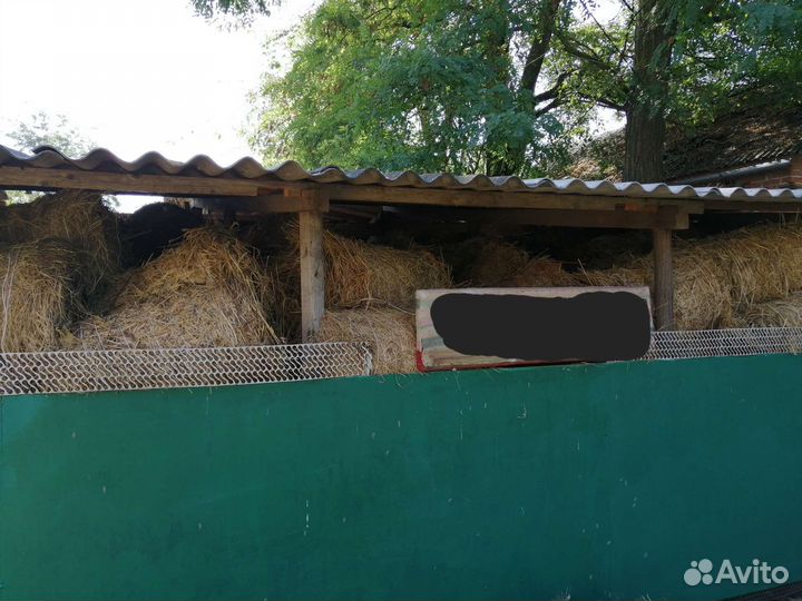 Сено люцерны в тюках