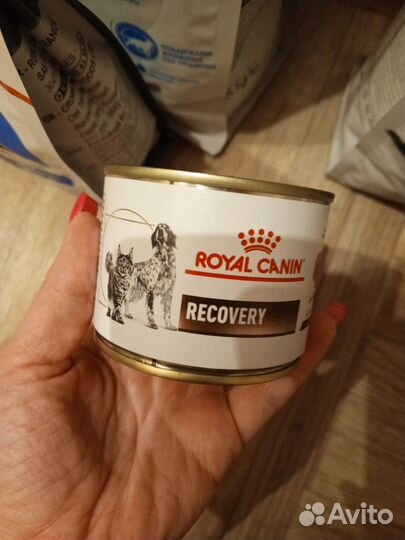 Сухой корм для кошек royal canin, паштет