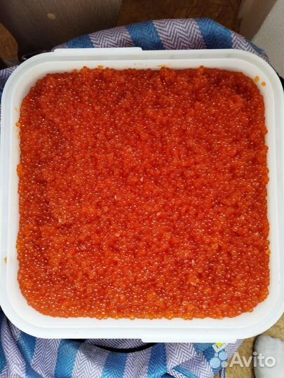 Красная икра Горбуши 2023г