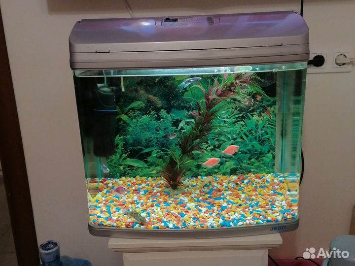 Аквариум