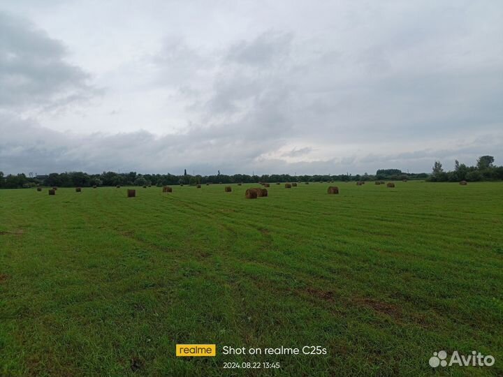 Сено луговое в тюках