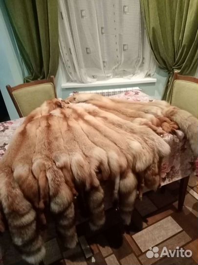 Шкуры лисы