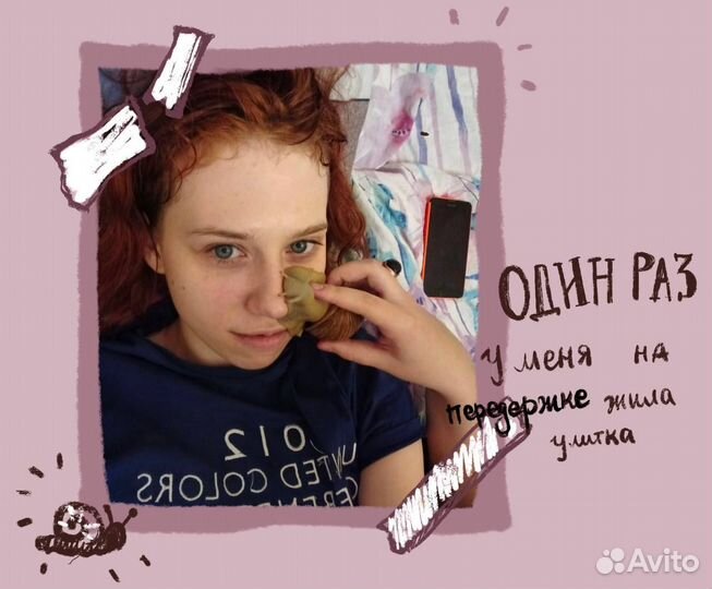 Передержка домашних животных