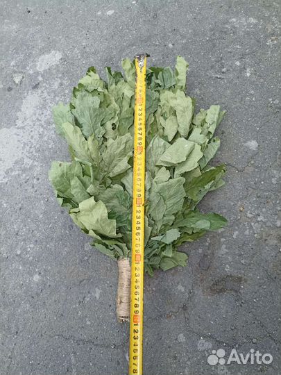 Веники для бани дубовый берёзовый