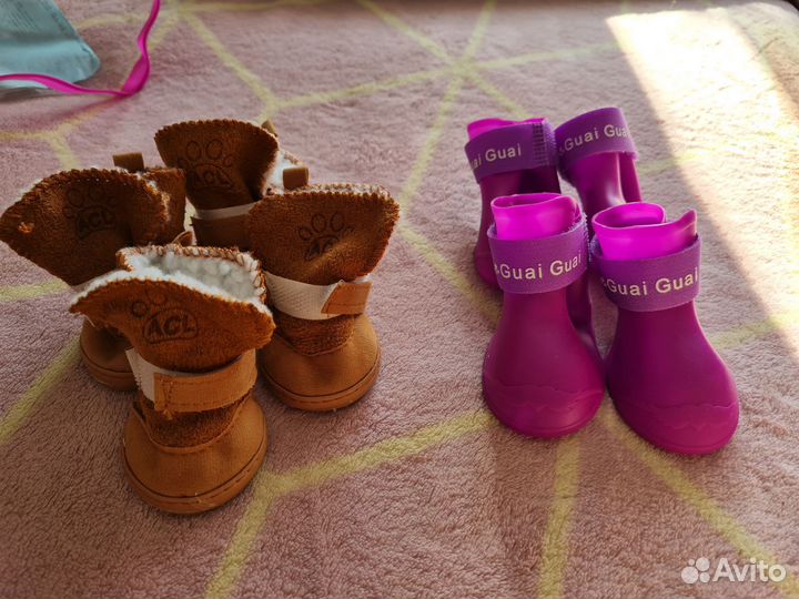 Обувь для собак. Новая