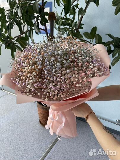 Живые цветы букеты из гипсофилы