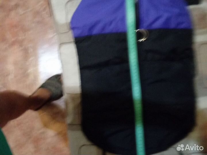 Одежда для собак