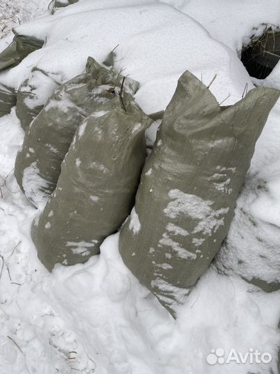 Навоз конский отдам бесплатно