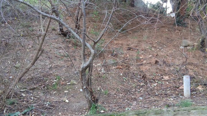 Участок 3 сот. (ИЖС)