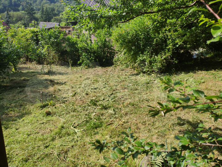 Участок 5,4 сот. (СНТ, ДНП)