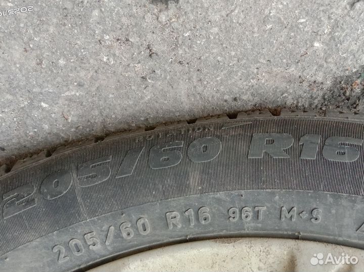 Formula Ice 205/60 R16 96T