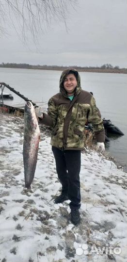 Свежемороженая и вяленая рыба