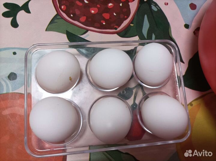 Домашние куриные яйца