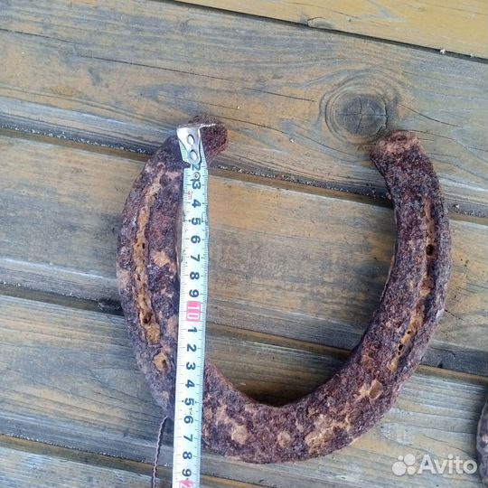 Подкова огромная