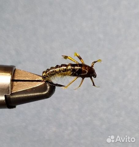 Муха рыболовная, нимфа