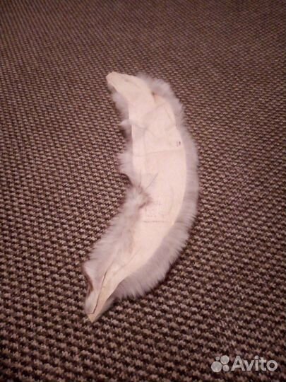 Шкурка песца