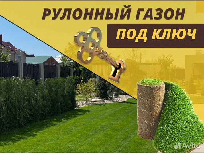 Рулонный газон под ключ Стандарт
