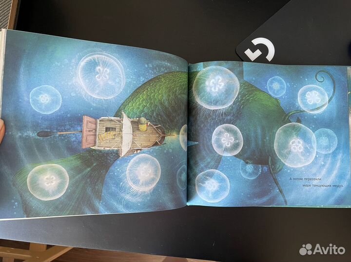 Книги-картинки братьев Фэн Поляндрия