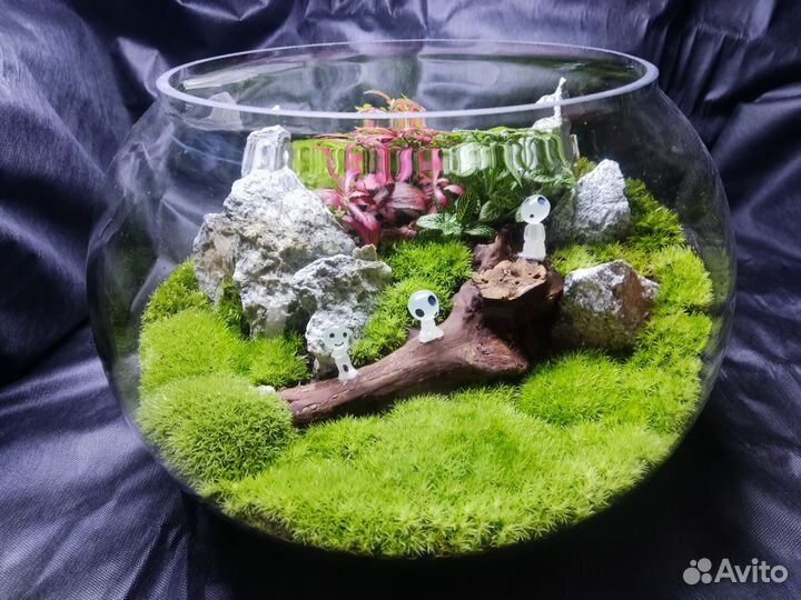 Флорариум 1