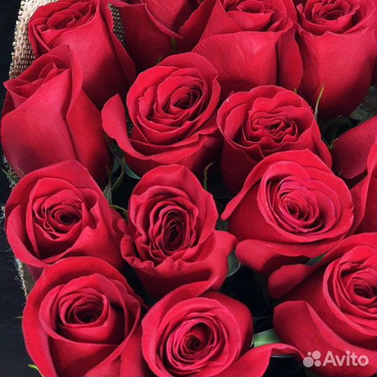 Розы 25 красные 60 см