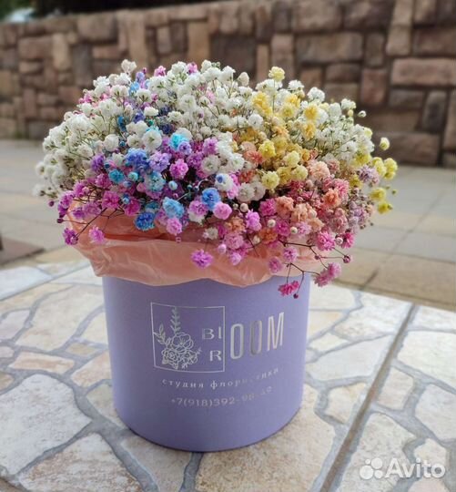 Композиции из гипсофилы