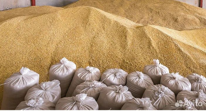 Пшеница, овёс