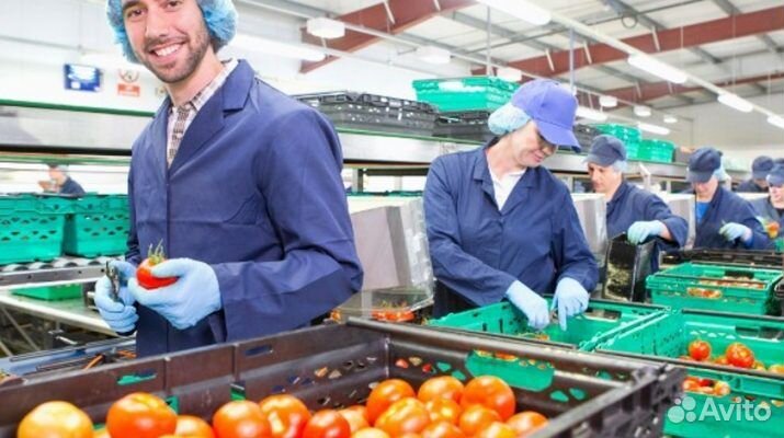 Упаковщик на линию (Вахта)