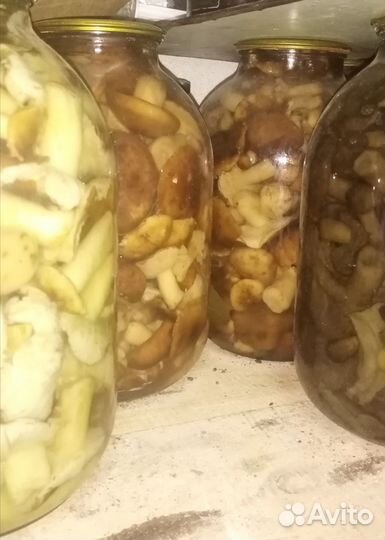 Грибы маринованные