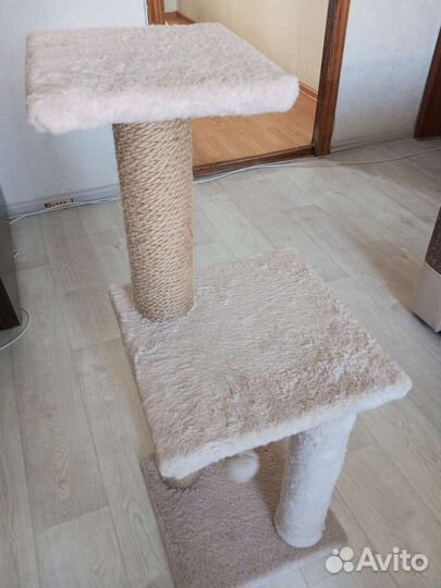 Когтеточка