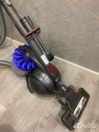 Пылесос Dyson DC37 allergymusclehead