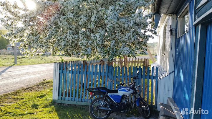 Продам мопед альфа рх 110