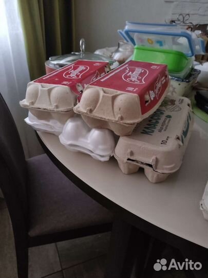 Ячейки для перепелиных яиц