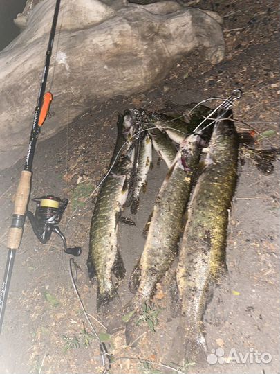 Спиннинг crazy fish arion 832 8-35 252