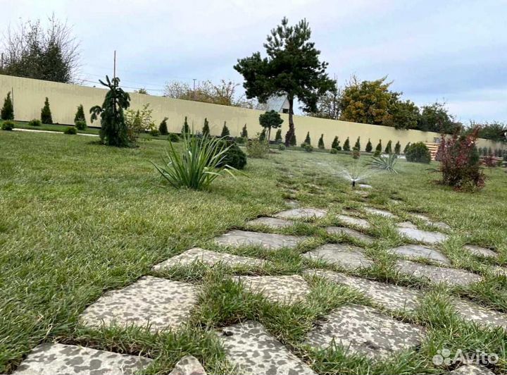 Газон. Рулонный газон