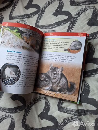 Детские книжки пакетом сказки малышам