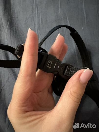 Шлейка для собаки