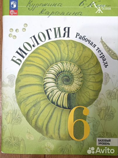 Школьный тетради, правила