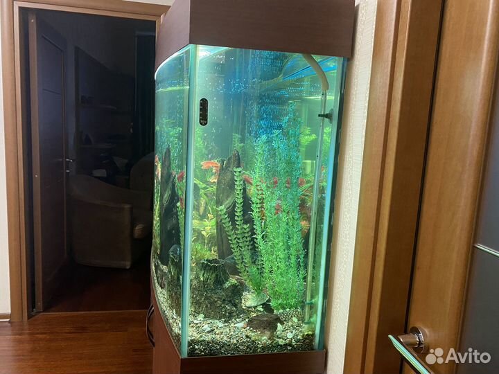 Аквариум с тумбой 600 литров