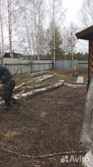 Спил деревьев кустарников