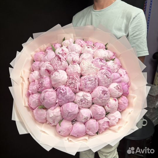 Пионы крупные 51 пион