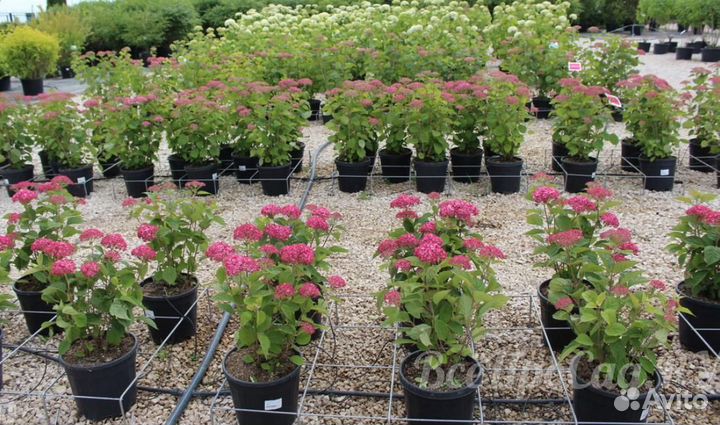 Помощник по хозяйству в теплицы вахта с жильем