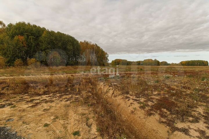 Участок 15,1 сот. (ИЖС)