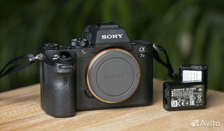 Sony a7 m2 8000 пробег