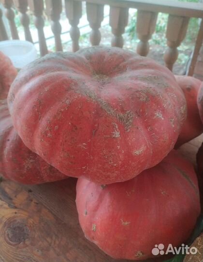 Тыква на хэллоуин