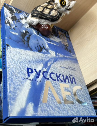 Русский лес. Фотоальбом /в футляре. Фотограф Вадим