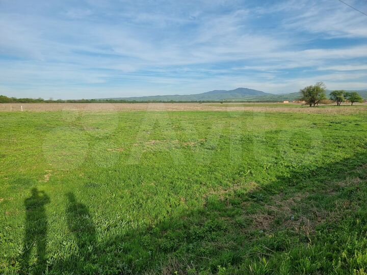 Участок 20 сот. (ИЖС)