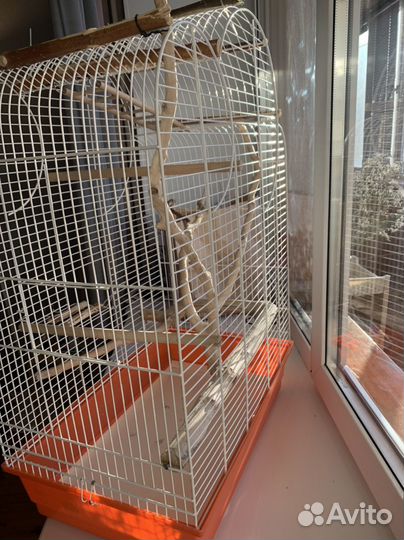 Большая клетка для птиц